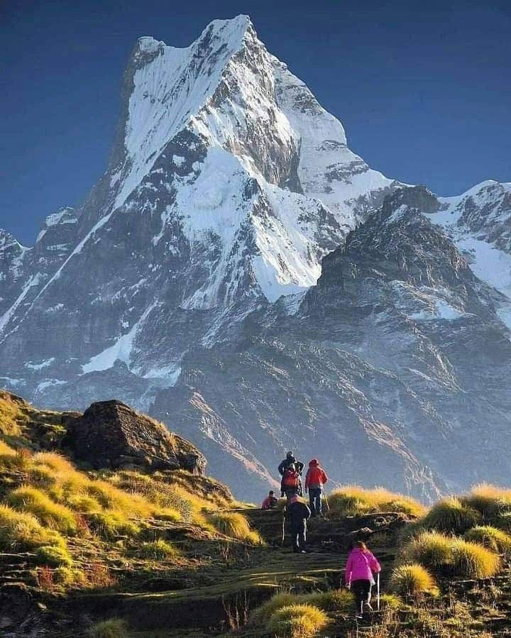 Mardi Himal Base Camp